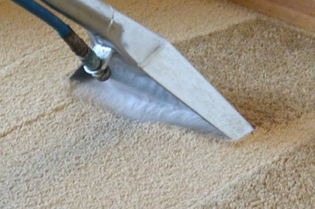 The Basics Of Steam Cleaning Carpet Fuzzy Wuzzy Rug Cleaning Co
