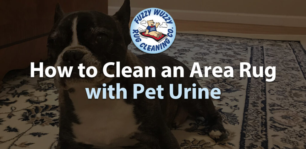 cleaning dog pee from rug